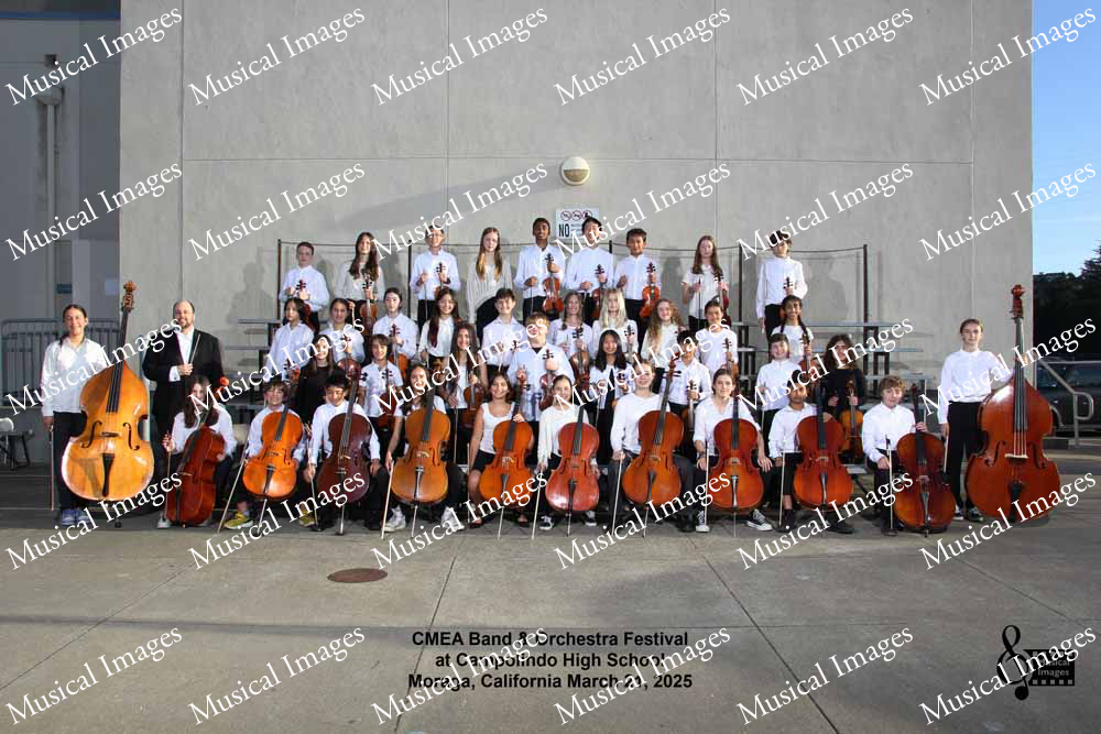 Musical Images
